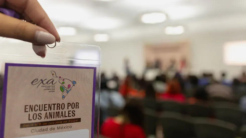 Credencial de EXA Ciudad de México 2024 con el auditorio de fondo