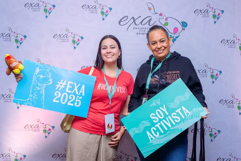 Dos participantes posan con carteles de #EXA 2025 y Soy activista