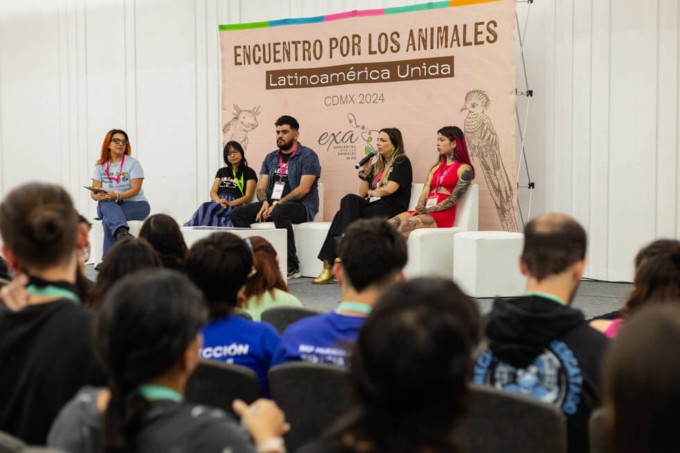 Revive el EXA 2024, CD De México, Encuentro por los Animales