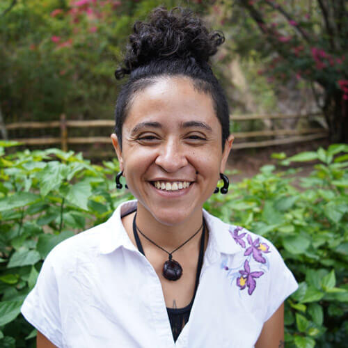 Dianis Avetroz